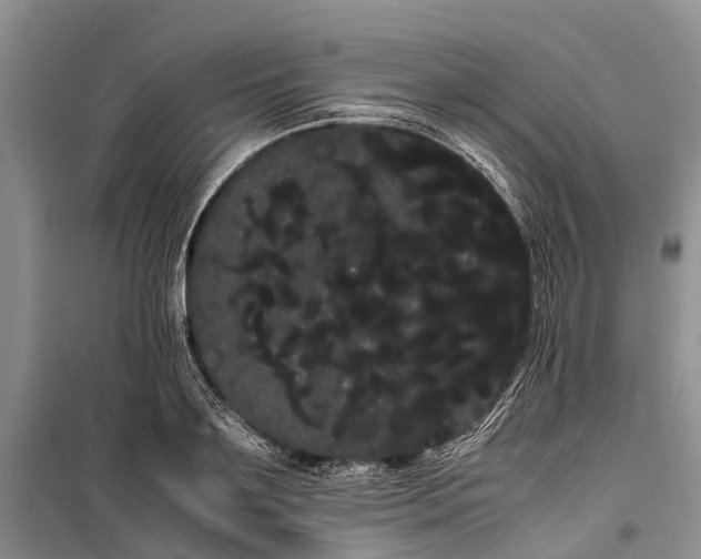 X0000100220891200806131311