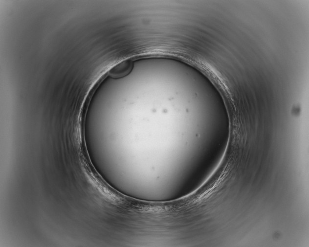 X0000100220892200806131311