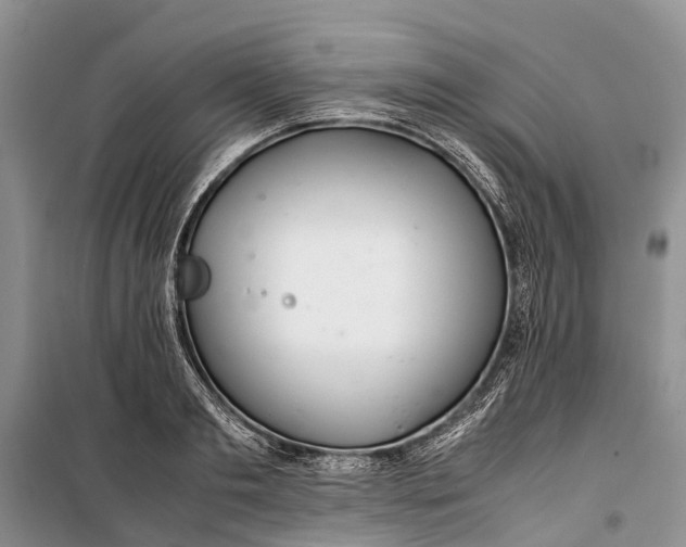 X0000100220893200806131311