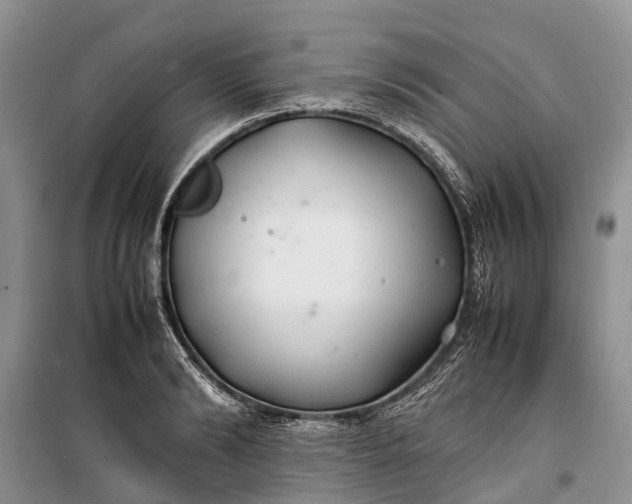 X0000100220894200806131311