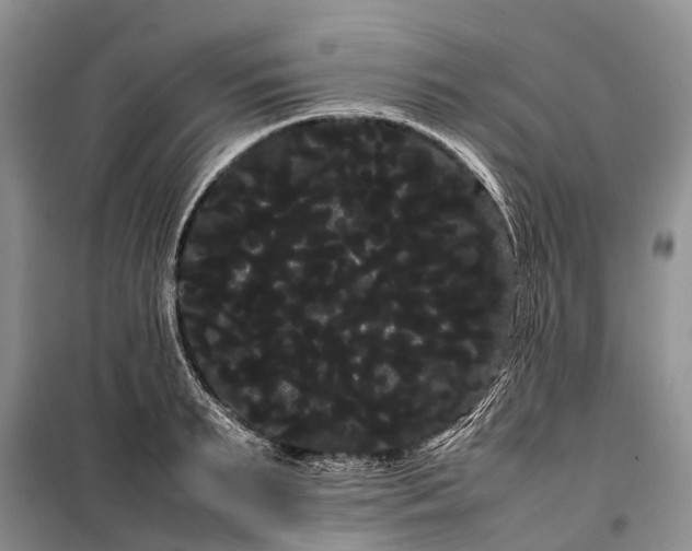 X0000100220895200806131311