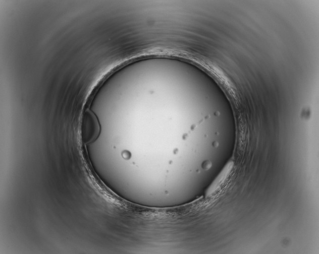 X0000100220896200806131311