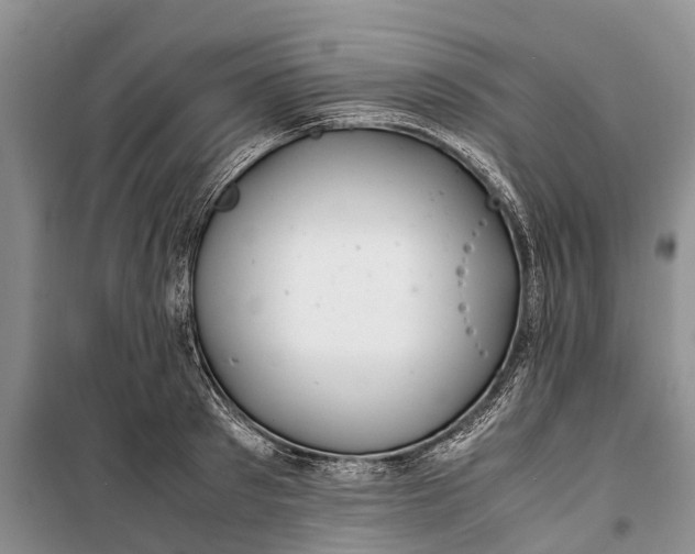 X0000100220897200806131311