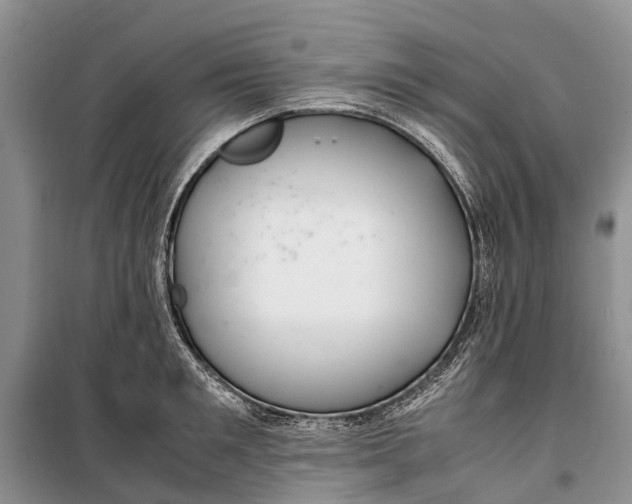 X0000100220901200806131311