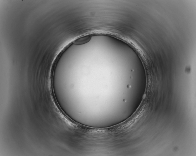 X0000100220902200806131311