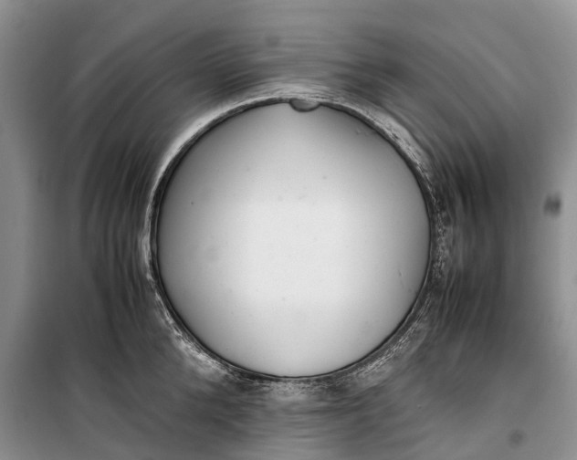 X0000100220904200806131311