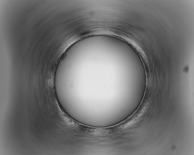 X0000100220905200806131311