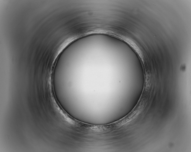 X0000100220906200806131311