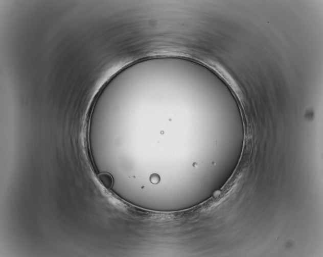 X0000100220909200806131311