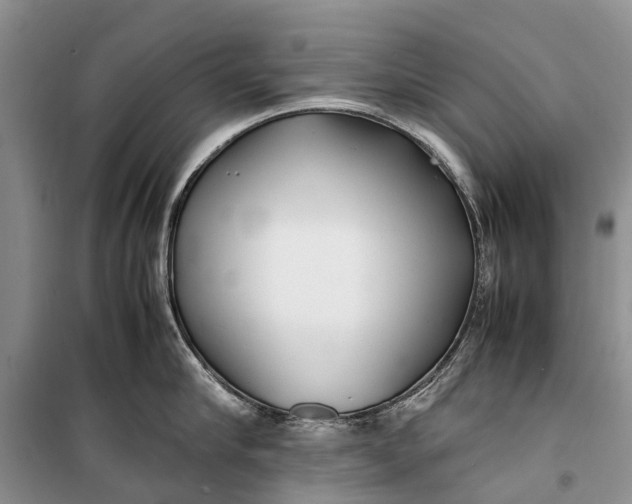 X0000100220910200806131311