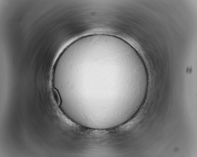 X0000100220912200806131311