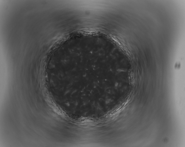 X0000100220913200806131311