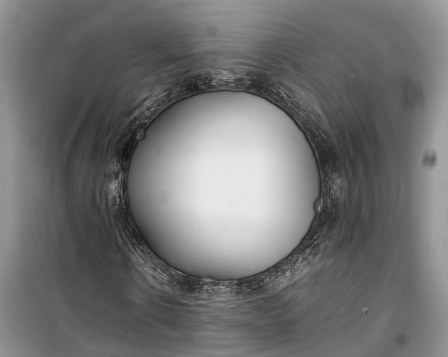 X0000100220914200806131311