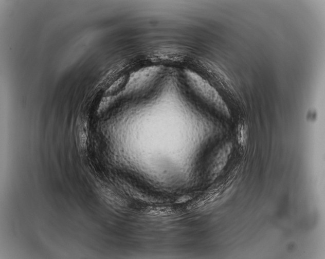 X0000100220915200806131311