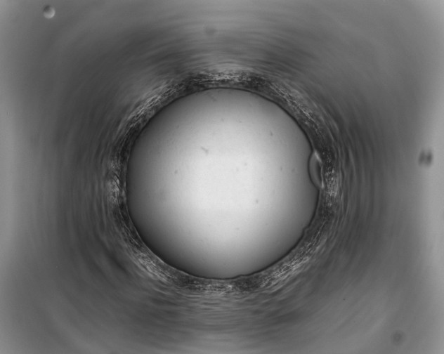 X0000100220916200806131311