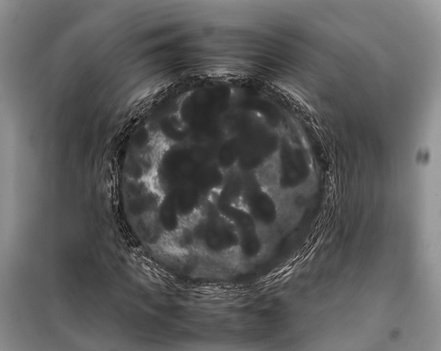 X0000100220917200806131311