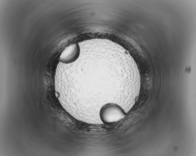 X0000100220918200806131311