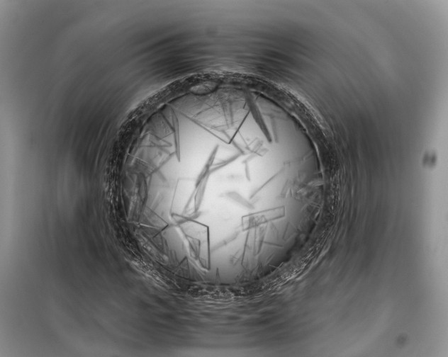 X0000100220919200806131311