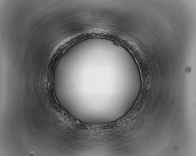 X0000100220920200806131311