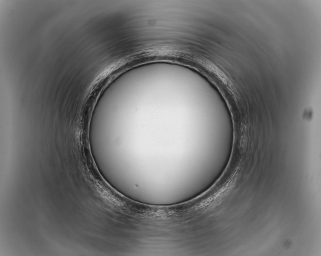 X0000100220922200806131311