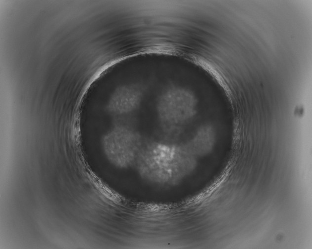 X0000100220923200806131311