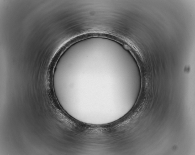 X0000100220926200806131311