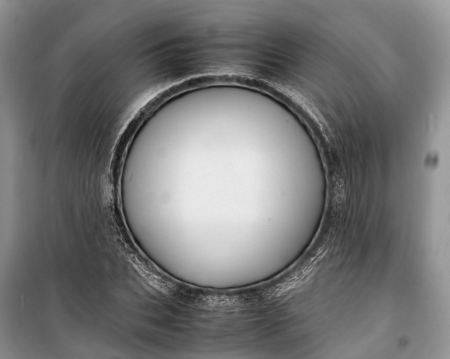 X0000100220927200806131311