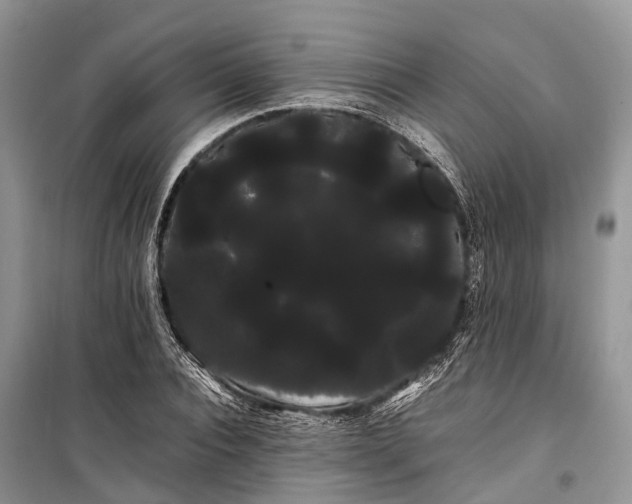 X0000100220928200806131311