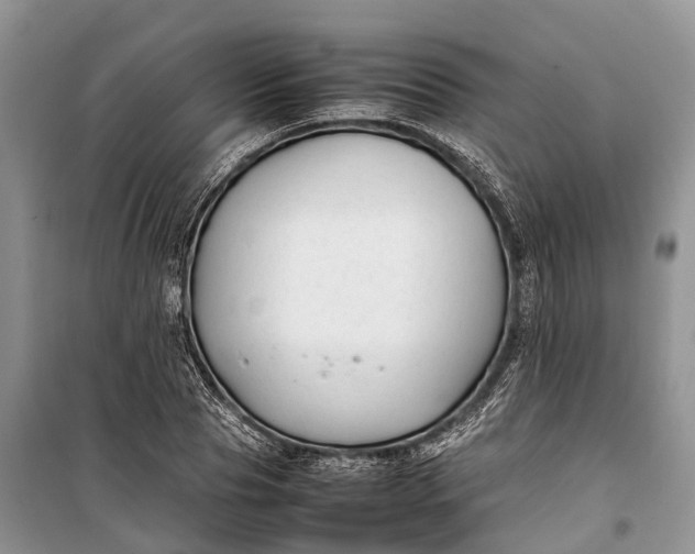 X0000100220929200806131311