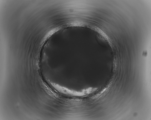 X0000100220930200806131311