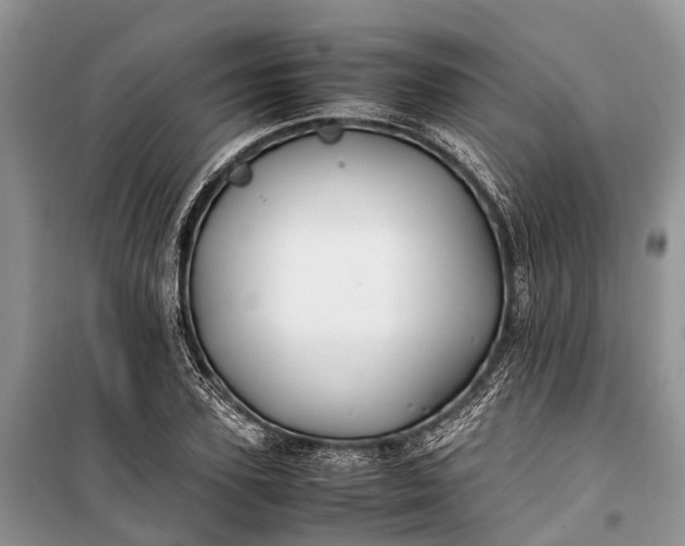 X0000100220931200806131311