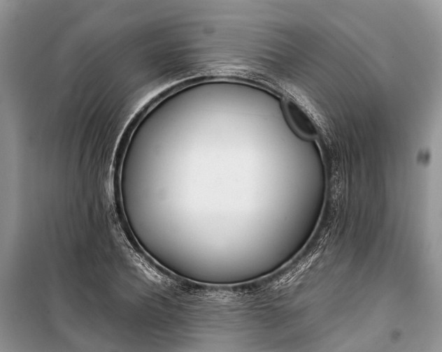 X0000100220932200806131311