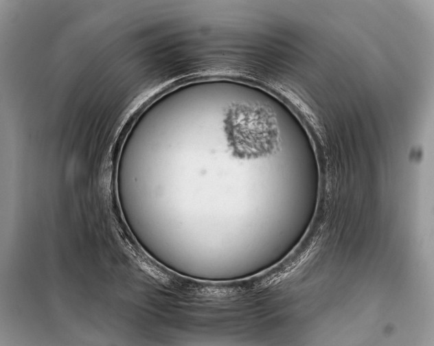 X0000100220933200806131311