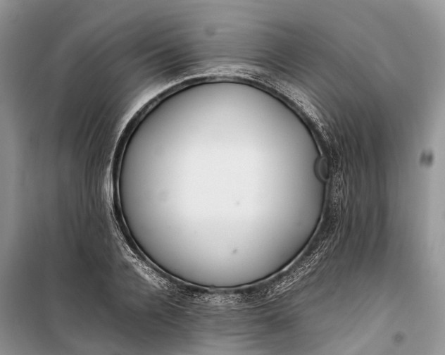 X0000100220936200806131311