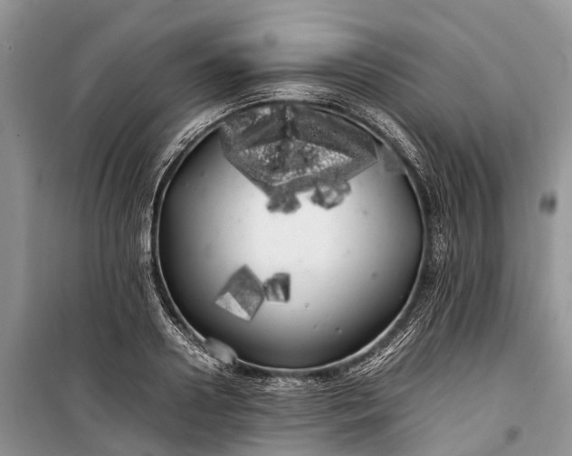 X0000100220938200806131311