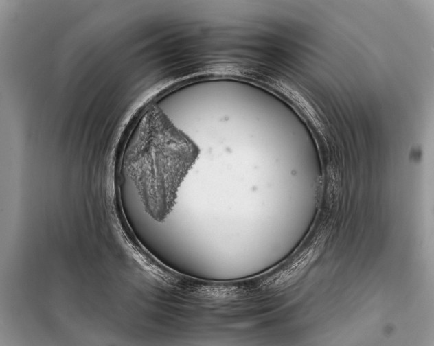 X0000100220939200806131311