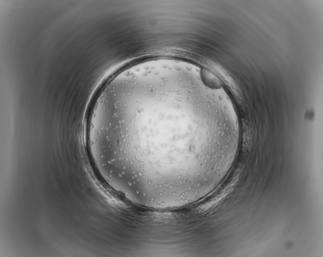 X0000100220940200806131311