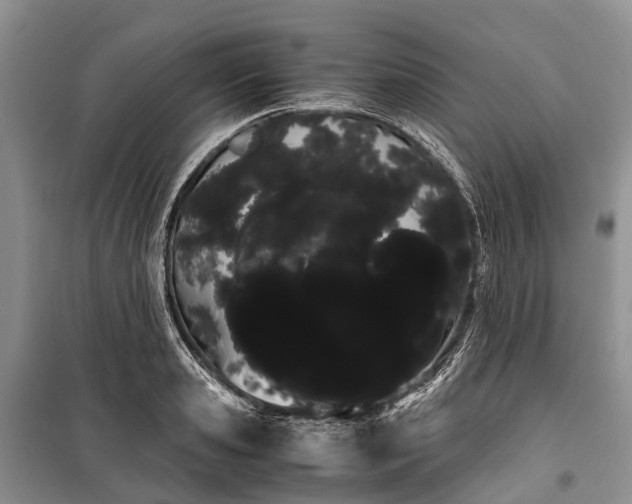 X0000100220941200806131311