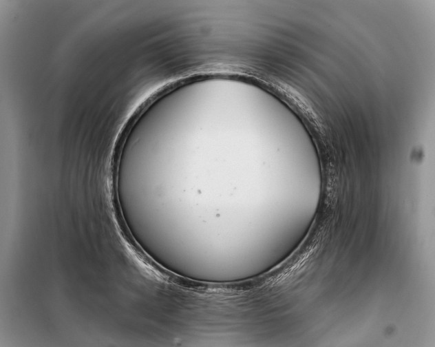 X0000100220942200806131311