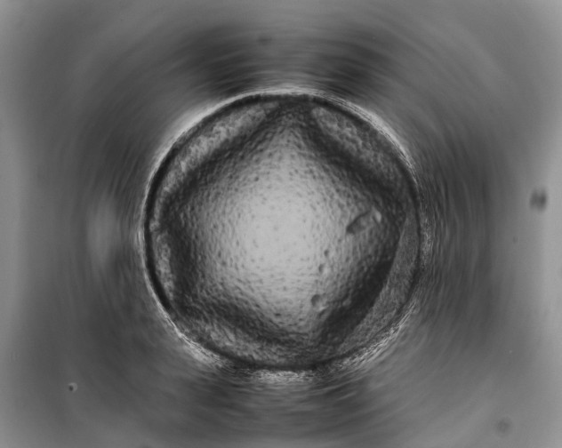 X0000100220943200806131311