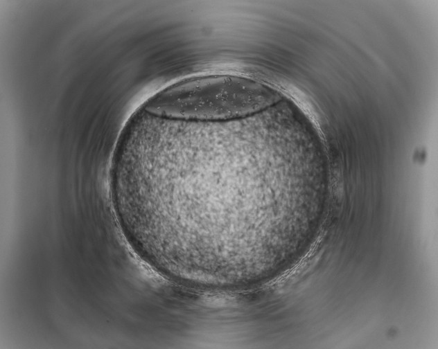 X0000100220944200806131311