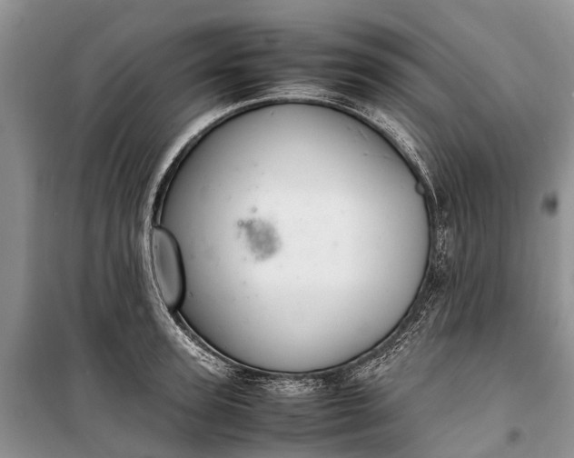 X0000100220947200806131311