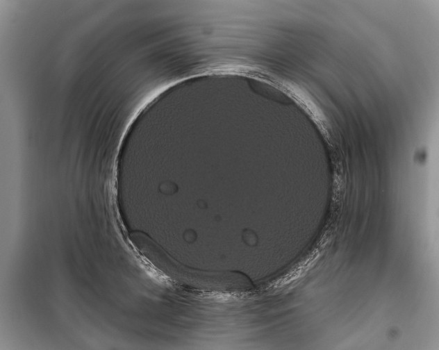 X0000100220948200806131311