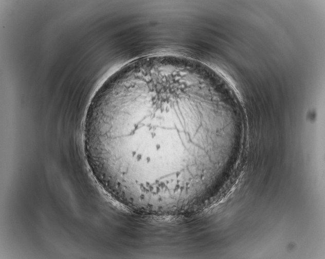 X0000100220949200806131311