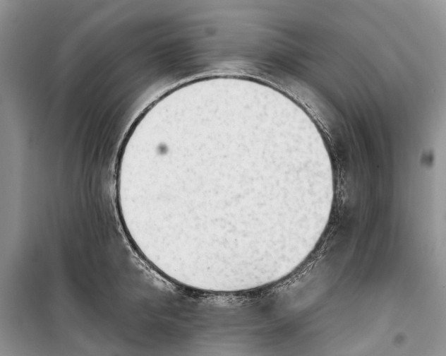 X0000100220950200806131311