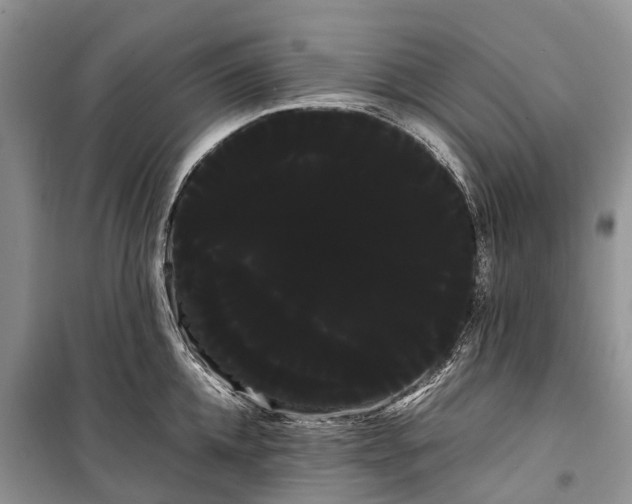 X0000100220952200806131311