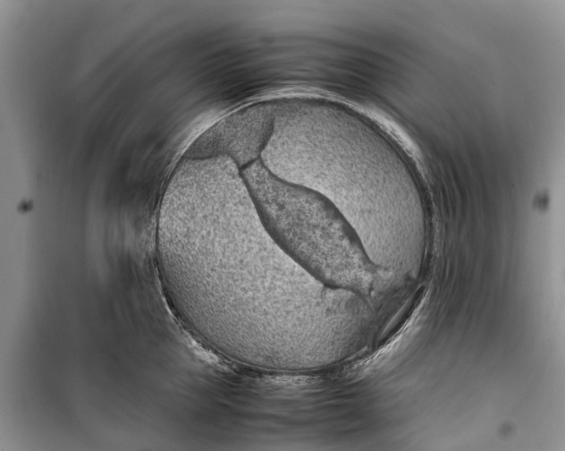 X0000100220953200806131311