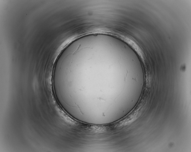 X0000100220954200806131311