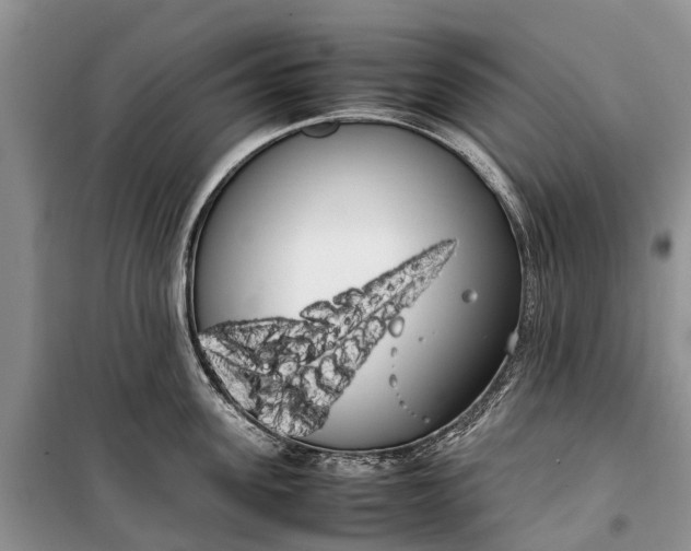 X0000100220955200806131311