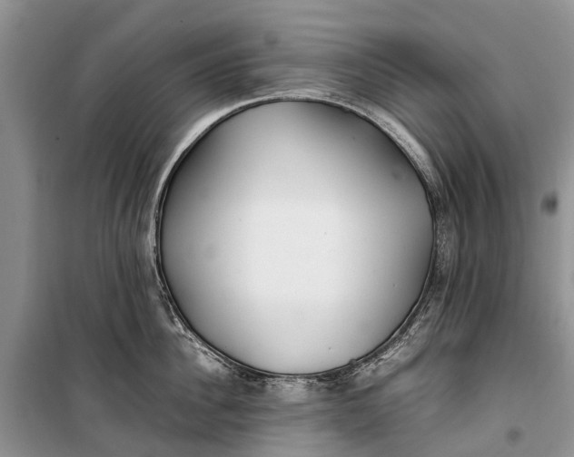 X0000100220956200806131311